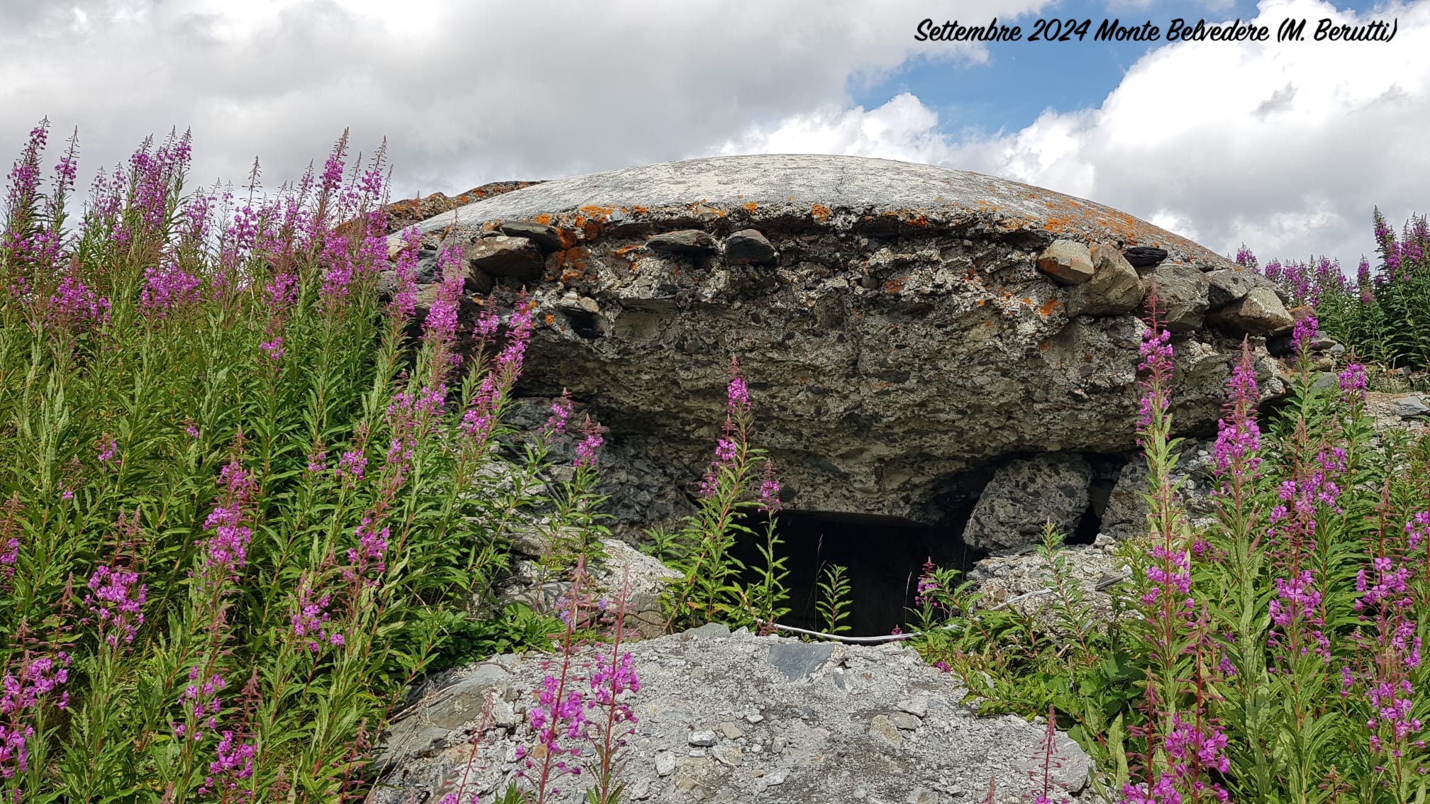 2409 04 Monte Belvedere MBerutti 4.jpeg